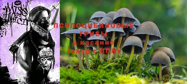 спайс Лабытнанги
