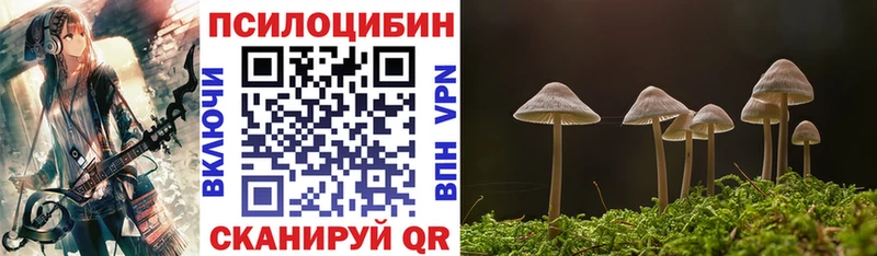 Псилоцибиновые грибы Magic Shrooms  Купить  Ленинск 
